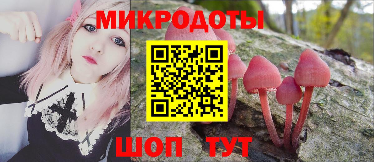 Галлюциногенные грибы Psilocybe  Псилоцибиновые грибы Cubensis  Кингисепп  что такое   Вход с VPN 